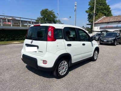 Fiat Panda 1.0 firefly hybrid s&s 70cv 5p.ti (8)