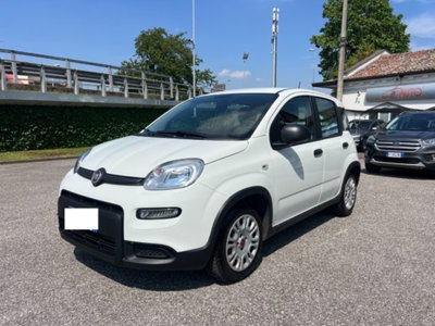 Fiat Panda 1.0 firefly hybrid s&s 70cv 5p.ti (9)