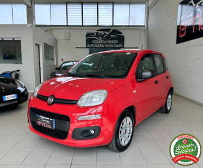 Fiat Panda 1.2 Pop usata