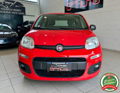 Fiat Panda 1.2 Pop (2)