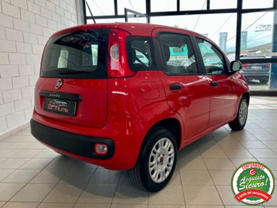 Fiat Panda 1.2 Pop (4)