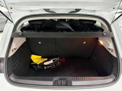 Renault Clio Blue dCi 100 CV 5 porte Business (20)