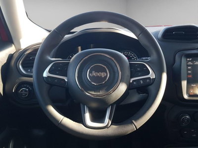 Jeep Renegade 1.6 mjt Limited 2wd 130cv (10)