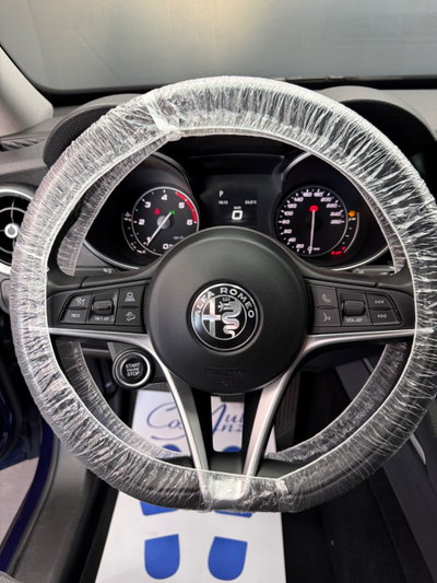Alfa Romeo Stelvio Stelvio 2.2 Turbodiesel 190 CV AT8 Q4 Executive (11)