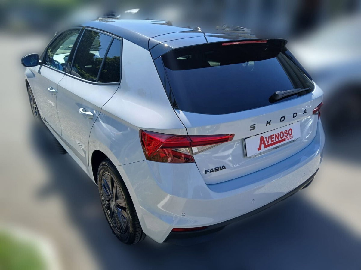 Skoda Fabia 1.0 TSI EVO 95 CV Style (3)