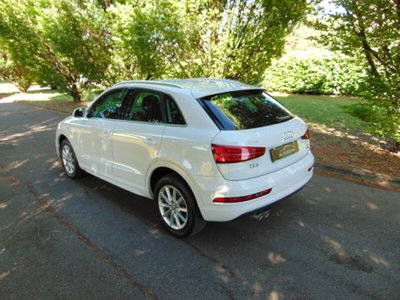 Audi Q3 2.0 TDI 150 CV quattro S tronic Business (6)
