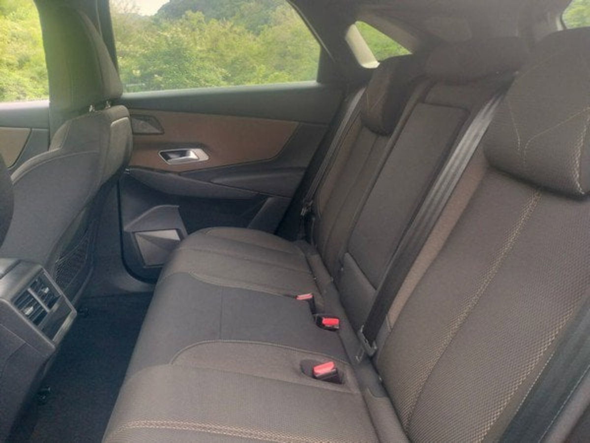 Ds DS 3 DS 3 Crossback E-Tense Business (18)
