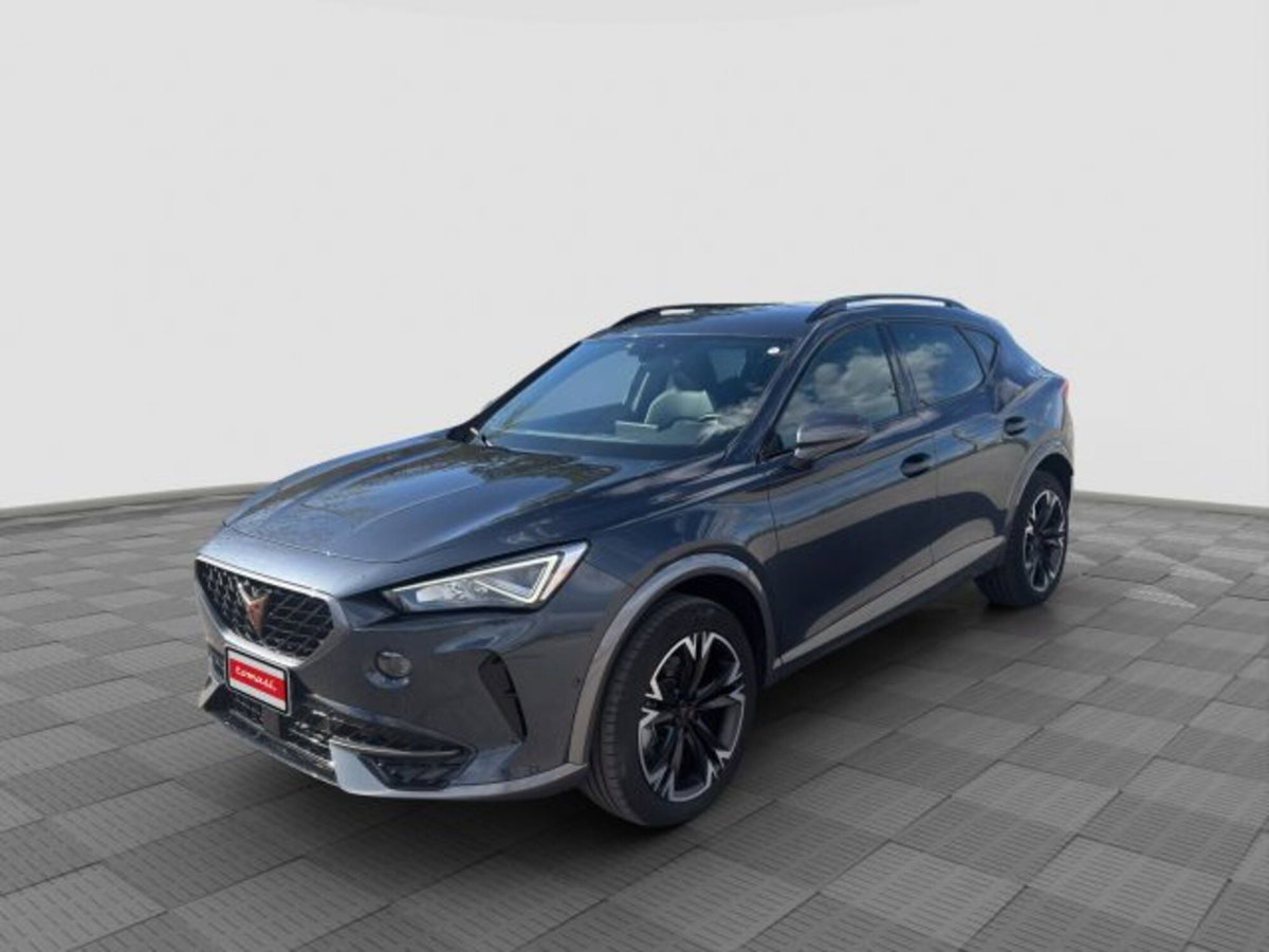 Cupra Formentor Formentor 2.0 tdi 4drive 150cv dsg