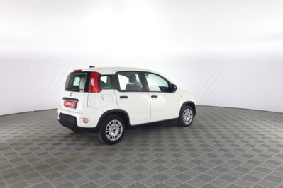 Fiat Panda 1.0 firefly hybrid s&s 70cv 5p.ti (4)