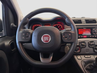 Fiat Panda 1.0 FireFly S&S Hybrid City Cross (12)