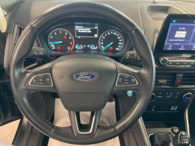 Ford EcoSport 1.0 EcoBoost 100 CV (2)
