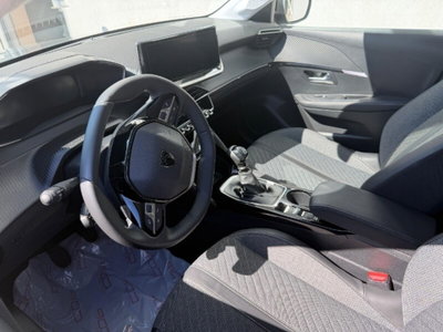 Peugeot 208 PureTech 100 Stop&Start 5 porte Allure (5)