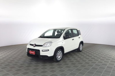 Fiat Panda 1.0 firefly hybrid Pop s&s 70cv (8)