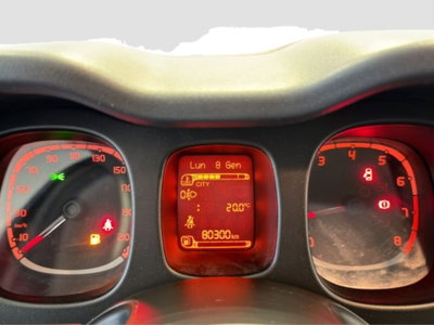 Fiat Panda 0.9 TwinAir Turbo S&S 4x4 (14)