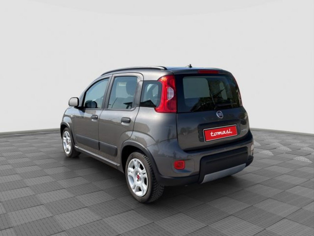 Fiat Panda 1.0 FireFly S&S Hybrid City Cross (3)