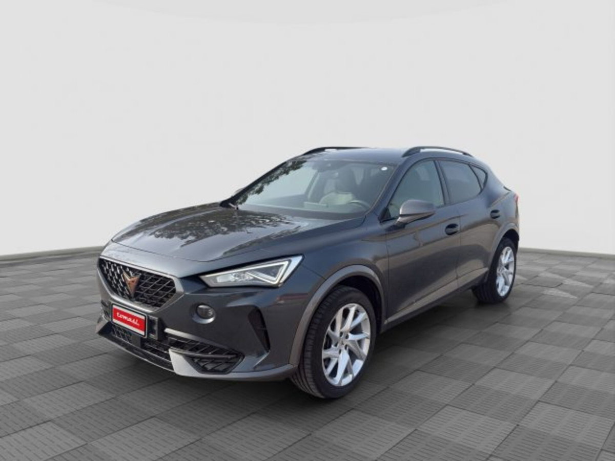 Cupra Formentor Formentor 2.0 tdi 4drive 150cv dsg
