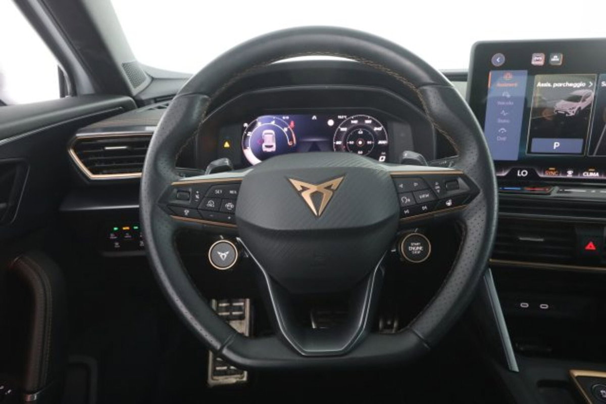 Cupra Formentor Formentor 2.0 TDI (5)