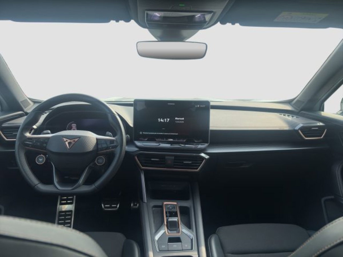 Cupra Formentor Formentor 2.0 TDI (11)