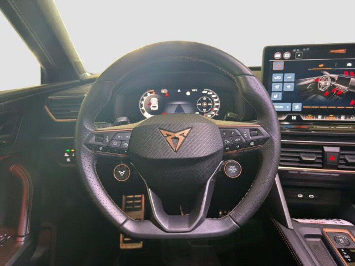 Cupra Leon Leon 2.0 tdi 150cv dsg (12)
