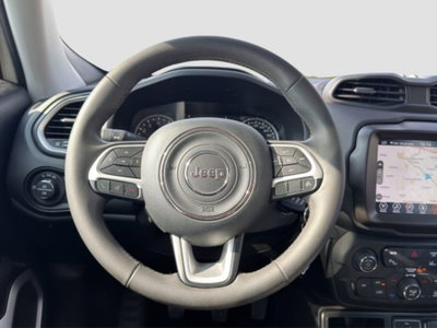 Jeep Renegade 1.0 T3 Business (12)