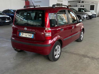 Fiat Panda 1.2 Dynamic GPL (4)