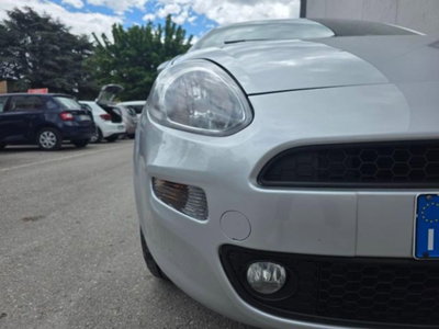 Fiat Punto 1.4 8V 5 porte Natural Power Street (14)
