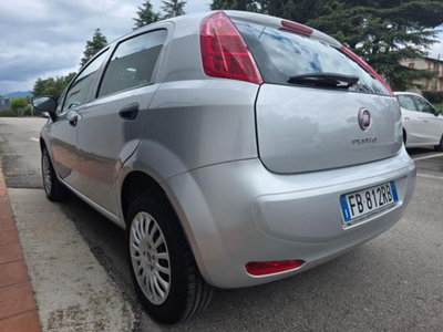 Fiat Punto 1.4 8V 5 porte Natural Power Street (4)