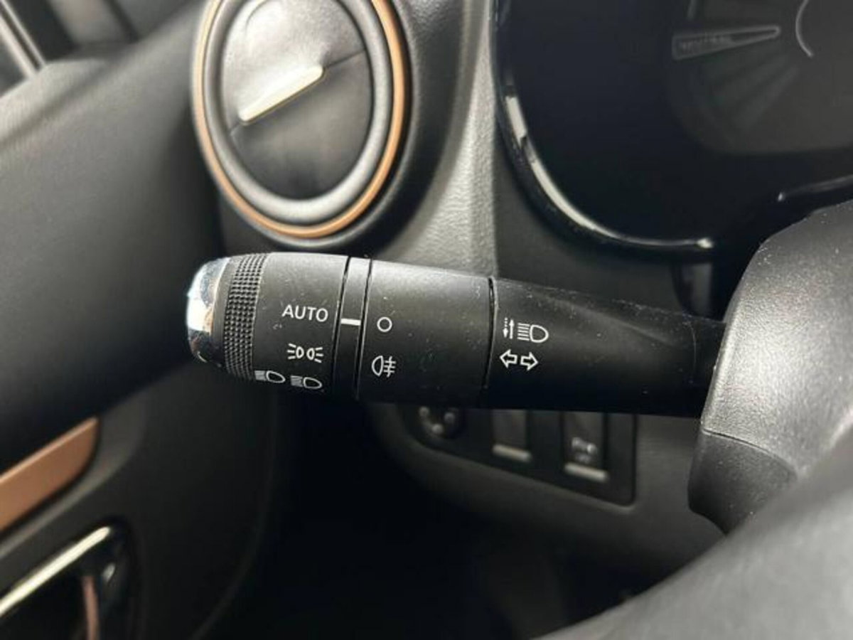 Dacia Spring Extreme Electric 65 (16)