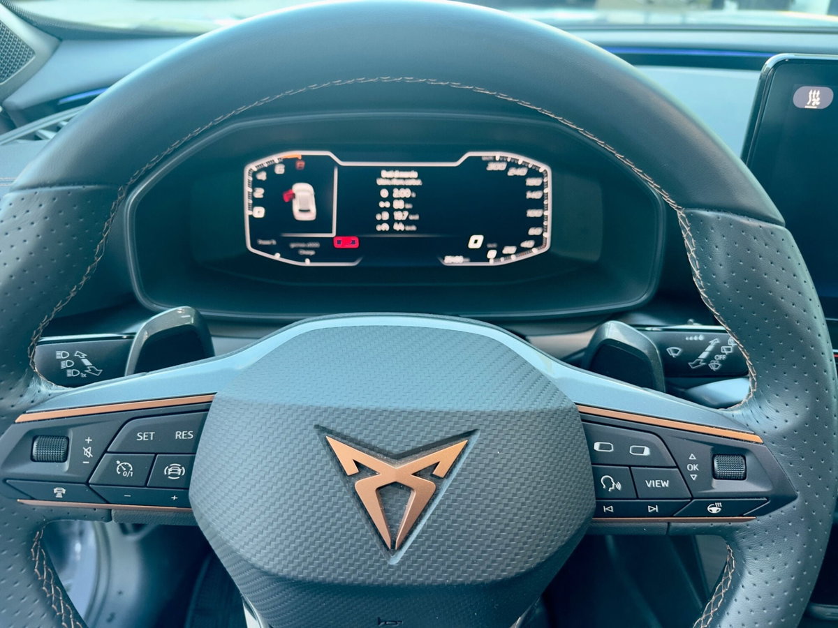 Cupra Formentor Formentor 1.4 e-Hybrid DSG (11)