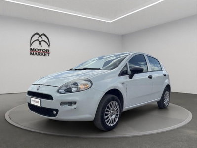Fiat Punto 1.4 8V 5 porte Natural Power Lounge usata