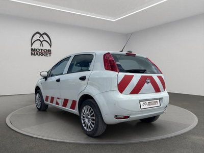 Fiat Punto 1.4 8V 5 porte Natural Power Lounge (8)