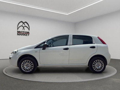 Fiat Punto 1.4 8V 5 porte Natural Power Lounge (5)