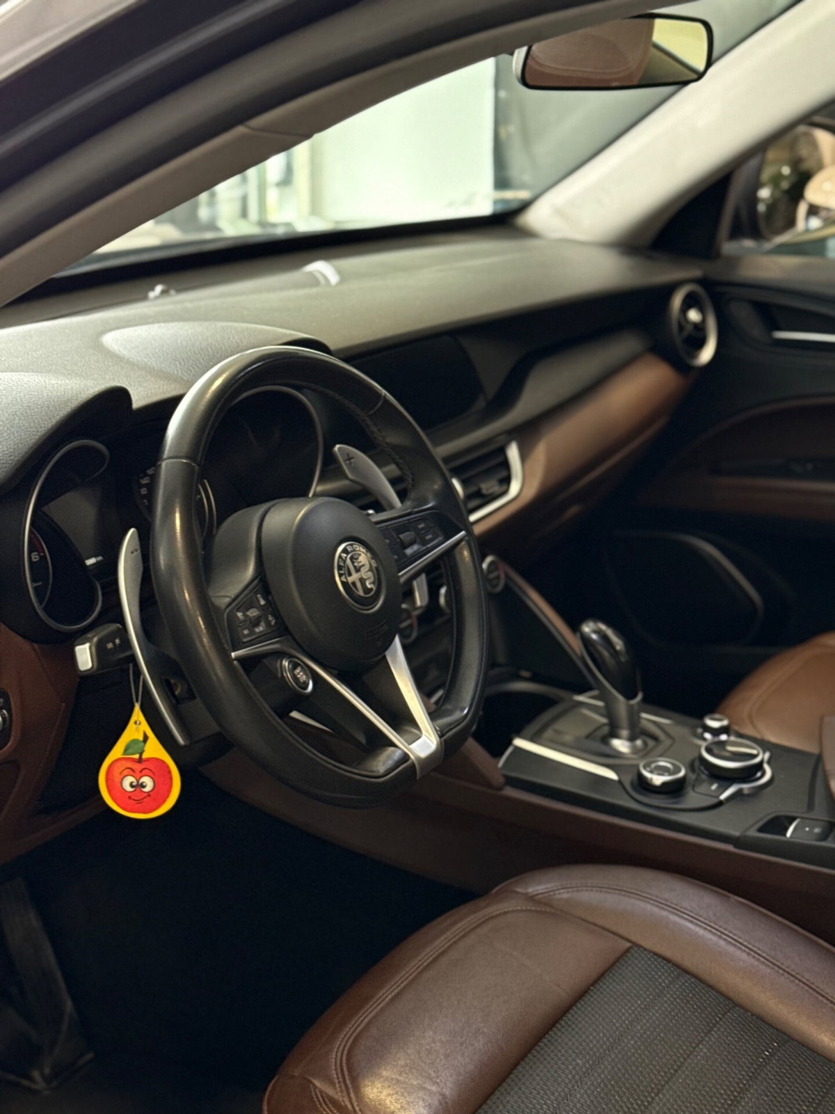 Alfa Romeo Stelvio Stelvio 2.2 Turbodiesel 180 CV AT8 RWD Super (6)