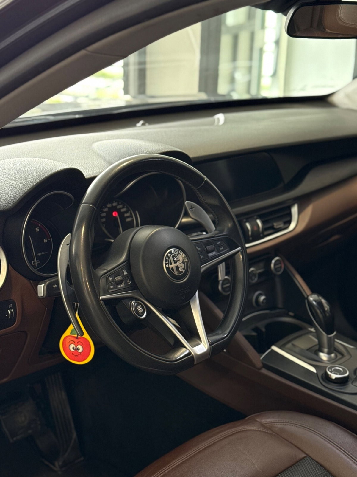 Alfa Romeo Stelvio Stelvio 2.2 Turbodiesel 180 CV AT8 RWD Super (7)
