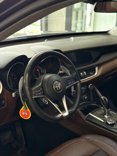 Alfa Romeo Stelvio Stelvio 2.2 Turbodiesel 180 CV AT8 RWD Super (7)