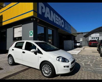 Fiat Punto 1.3 MJT II 75 CV 5 porte Street usata