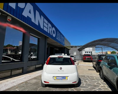Fiat Punto 1.3 MJT II 75 CV 5 porte Street (12)