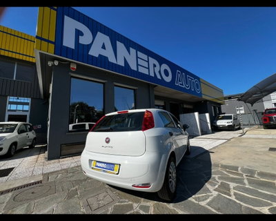 Fiat Punto 1.3 MJT II 75 CV 5 porte Street (4)
