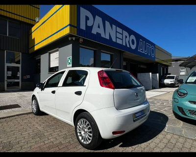 Fiat Punto 1.3 MJT II 75 CV 5 porte Street (5)