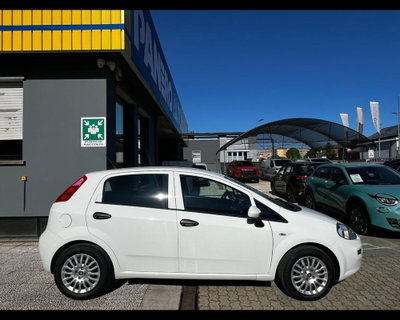 Fiat Punto 1.3 MJT II 75 CV 5 porte Street (6)