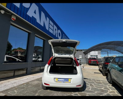 Fiat Punto 1.3 MJT II 75 CV 5 porte Street (8)