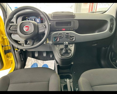 Fiat Panda 1.0 firefly hybrid Pop s&s 70cv (15)