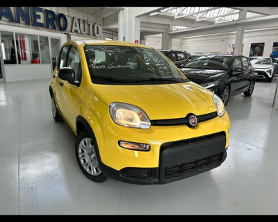 Fiat Panda 1.0 firefly hybrid Pop s&s 70cv (2)