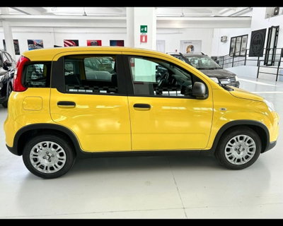 Fiat Panda 1.0 firefly hybrid Pop s&s 70cv (5)