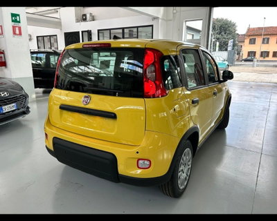 Fiat Panda 1.0 firefly hybrid Pop s&s 70cv (6)