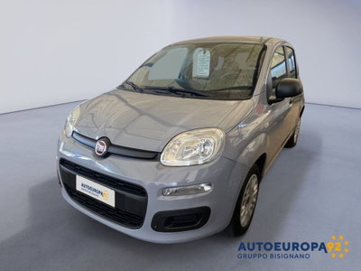 Fiat Panda 1.2 Easy usata