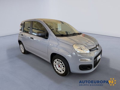 Fiat Panda 1.2 Easy (2)