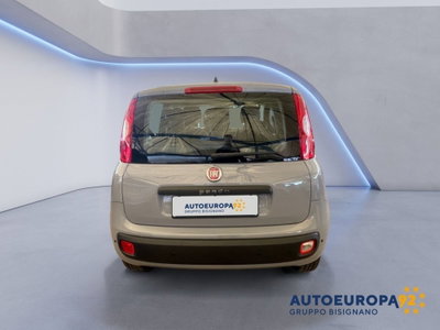 Fiat Panda 1.2 Easy (3)