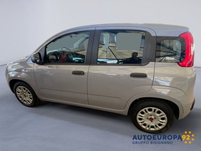 Fiat Panda 1.2 Easy (5)