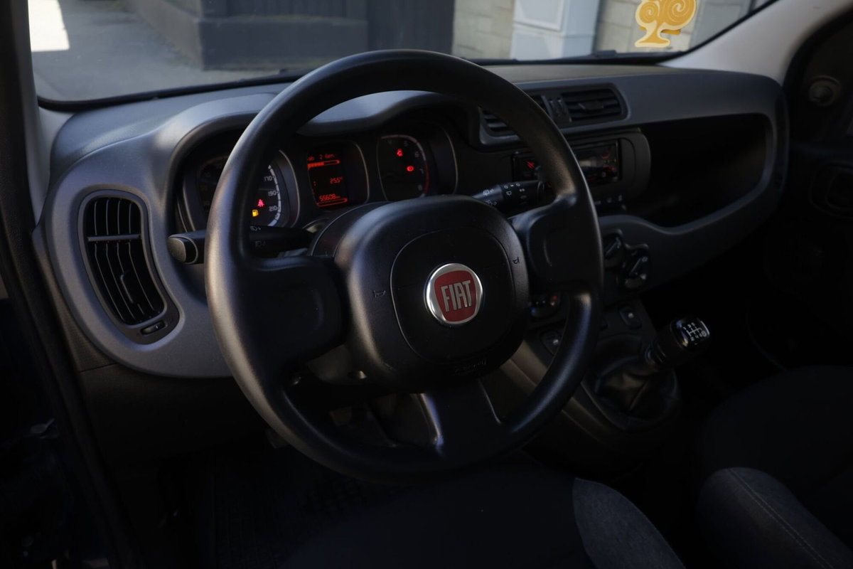 Fiat Panda Cross Cross 1.0 FireFly S&S Hybrid (14)